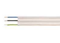 Low Voltage Copper Conductor PVC Insulated Cables For Plaster